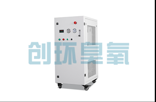故城工厂化养鲈必看:2026年臭氧发生器替代传统消毒的最新方案