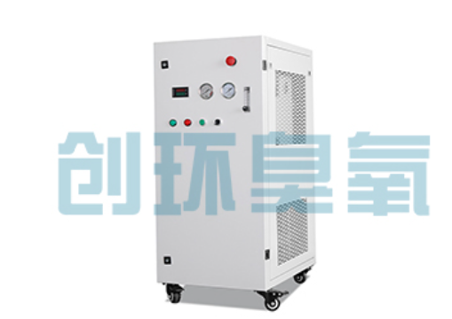 故城石斑鱼养殖水质调控完整指南:臭氧发生器配置与操作步骤