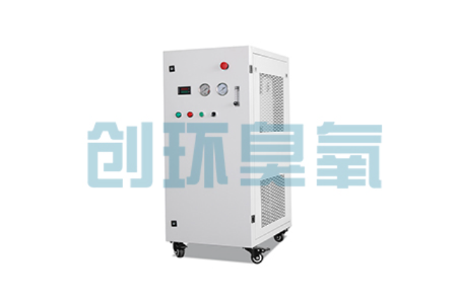 故城比传统换水更高效?臭氧发生器在石斑鱼养殖中的水质净化原理解析