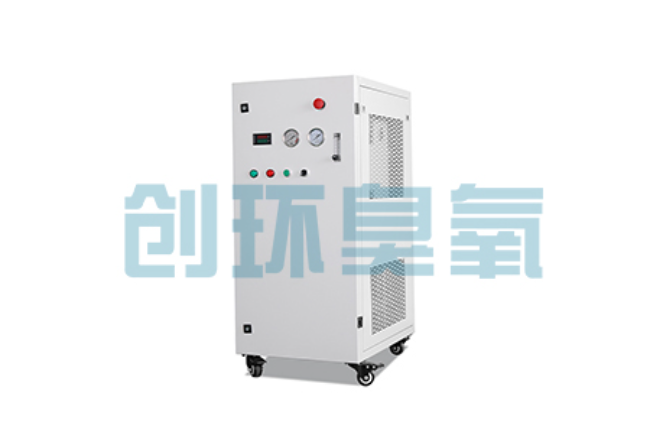 故城比传统换水更高效?臭氧发生器在石斑鱼养殖中的水质净化原理解析